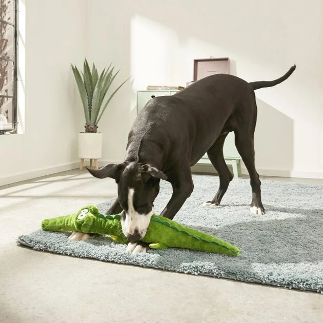 Frisco Wagazoo Plush Squeaking Alligator Dog Toy 5 Frisco Wagazoo Plush Squeaking Alligator Dog Toy - Image 3