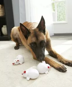 Frisco Hide & Seek Chicken Dog Toy Refills, 3-pack -The Frisco Store 174764 PT2. SY630 V1574271542