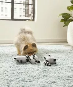 Frisco Hide & Seek Raccoon Dog Toy Refills, 3-pack -The Frisco Store 174766 PT2. SY630 V1573492789