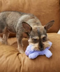 Frisco Plush Squeaking Hippo Dog Toy -The Frisco Store 175407 PT2. SY630 V1573492808