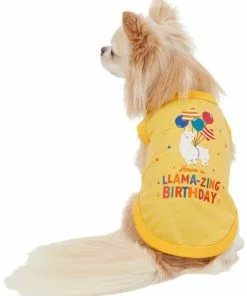 Frisco Llama-zing Birthday Dog & Cat T-Shirt