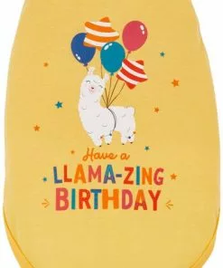 Frisco Llama-zing Birthday Dog & Cat T-Shirt -The Frisco Store 191240 PT2. SY630 V1582053523