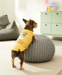 Frisco Llama-zing Birthday Dog & Cat T-Shirt -The Frisco Store 191240 PT4. SY630 V1582053521