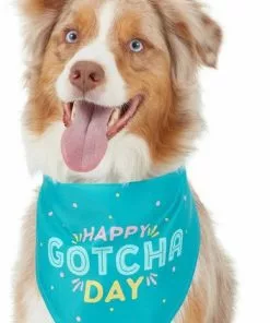 Frisco Happy Gotcha Day Dog & Cat Bandana