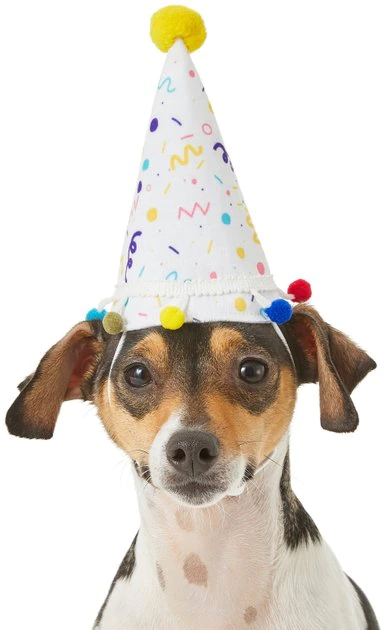 Frisco Confetti Dog & Cat Birthday Hat 3 Frisco Confetti Dog & Cat Birthday Hat