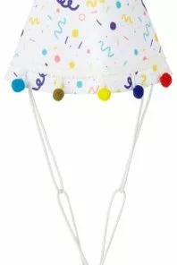 Frisco Confetti Dog & Cat Birthday Hat 12 Frisco Confetti Dog & Cat Birthday Hat -The Frisco Store 191274 PT4. SY630 V1582053256