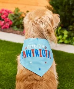 Frisco Pawtriot Dog & Cat Bandana -The Frisco Store 191277 PT4. SY630 V1584623758
