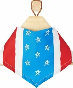 Frisco Stars & Stripes Dog & Cat Bandana