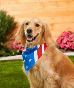 Frisco Stars & Stripes Dog & Cat Bandana 11 Frisco Stars & Stripes Dog & Cat Bandana -The Frisco Store 191288 PT4. SY630 V1632423083