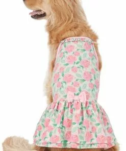 Frisco Pink Floral Dog & Cat Dress -The Frisco Store 191295 PT2. SY630 V1637653354