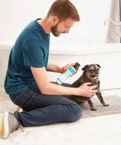 Frisco Aloe Hydrating Dog & Cat Spray, Sweet Nectar Scent -The Frisco Store 192084 PT3. SY630 V1585321073