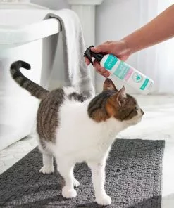 Frisco Aloe Hydrating Dog & Cat Spray, Sweet Nectar Scent -The Frisco Store 192084 PT4. SY630 V1589487682