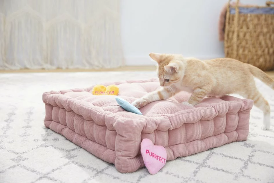 Frisco Candy Hearts Plush Cat Toy with Catnip, 3 count 5 Frisco Candy Hearts Plush Cat Toy with Catnip, 3 count - Image 3