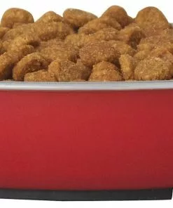 Frisco Heavy Duty Non-Skid Saucer Cat Bowl 10 Frisco Heavy Duty Non-Skid Saucer Cat Bowl -The Frisco Store 204461 PT2. SY630 V1598449859