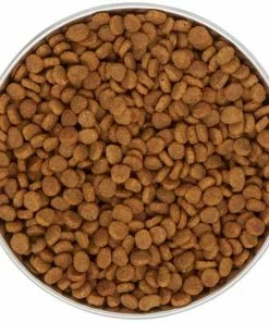 Frisco Heavy Duty Non-Skid Saucer Cat Bowl 12 Frisco Heavy Duty Non-Skid Saucer Cat Bowl -The Frisco Store 204461 PT4. SY630 V1599240354