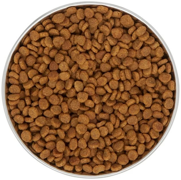 Frisco Heavy Duty Non-Skid Saucer Cat Bowl 7 Frisco Heavy Duty Non-Skid Saucer Cat Bowl - Image 5