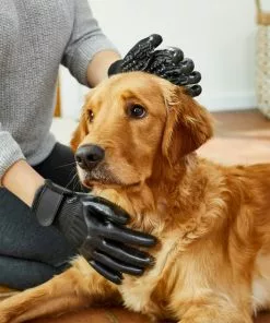 Frisco Dog & Cat Deshedding & Grooming Gloves, Black 12 Frisco Dog & Cat Deshedding & Grooming Gloves, Black -The Frisco Store 206842 PT5. SY630 V1610766542