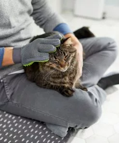 Frisco Dog & Cat Grooming Glove, Right Hand -The Frisco Store 206845 PT6. SY630 V1610762805