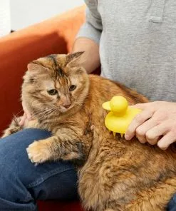Frisco Rubber Duckie Dog & Cat Curry Brush -The Frisco Store 206849 PT8. SY630 V1600915956