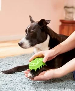 Frisco Bone Dog Curry Brush -The Frisco Store 206851 PT8. SY630 V1600915961