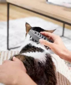 Frisco Cat Curry Brush -The Frisco Store 206853 PT8. SY630 V1600915900