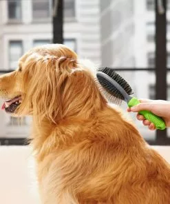 Frisco Cat & Dog Pin Bristle Brush 11 Frisco Cat & Dog Pin Bristle Brush -The Frisco Store 206855 PT8. SY630 V1600915965