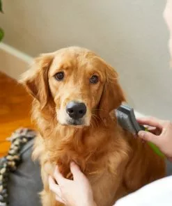 Frisco Self-Cleaning Slicker Dog Brush -The Frisco Store 206863 PT8. SY630 V1600915991