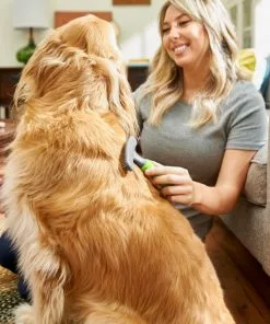 Frisco Shedding Rake Dog & Cat Brush 9 Frisco Shedding Rake Dog & Cat Brush -The Frisco Store 206871 PT8. SY630 V1600915978