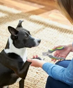 Frisco Dog Nail Trimmer -The Frisco Store 206877 PT8. SY630 V1600915891