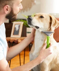 Frisco Deshedding Dog & Cat Brush 8 Frisco Deshedding Dog & Cat Brush -The Frisco Store 206890 PT7. SY630 V1600915870