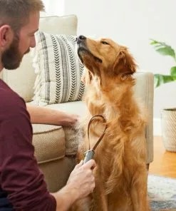 Frisco Shedding Blade Dog Brush, One Size -The Frisco Store 206895 PT8. SY630 V1600915985