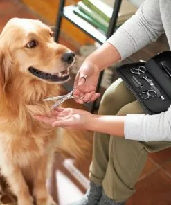 Frisco Dog & Cat Grooming Shears Kit 10 Frisco Dog & Cat Grooming Shears Kit -The Frisco Store 206903 PT4. SY630 V1604009923