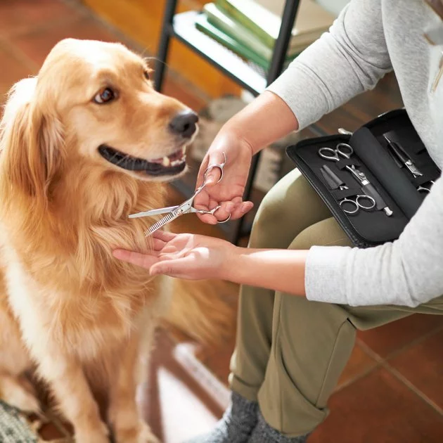 Frisco Dog & Cat Grooming Shears Kit 6 Frisco Dog & Cat Grooming Shears Kit - Image 4