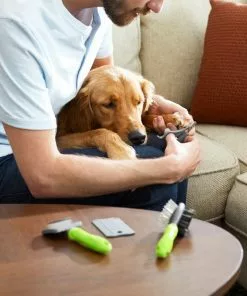 Frisco Beginner Grooming Kit for Dogs & Cats, 4-pack -The Frisco Store 206909 PT8. SY630 V1600916167