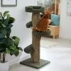 Frisco 49-in Tree-Shaped Real Carpet Wooden Cat Tree -The Frisco Store 208944 MAIN. SY630 V1647632802