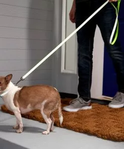 Frisco Solid Polyester Reflective Dog Leash -The Frisco Store 212812 PT4. SY630 V1581114493