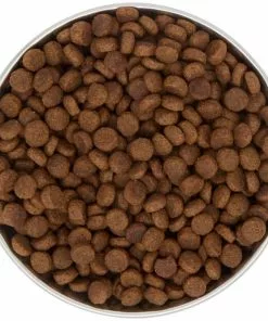 Frisco Heavy Duty Non-Skid Saucer Cat Bowl, Red Paw 12 Frisco Heavy Duty Non-Skid Saucer Cat Bowl, Red Paw -The Frisco Store 213423 PT4. SY630 V1599240402