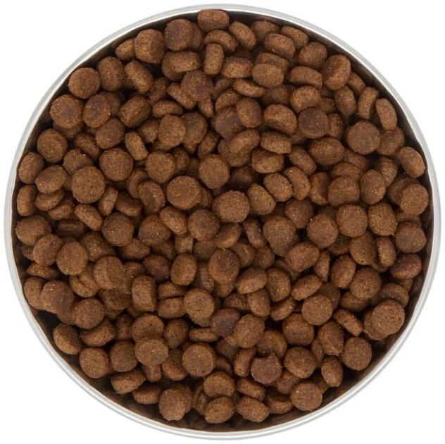 Frisco Heavy Duty Non-Skid Saucer Cat Bowl, Red Paw 7 Frisco Heavy Duty Non-Skid Saucer Cat Bowl, Red Paw - Image 5