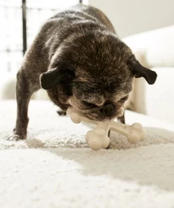 Frisco Chicken Flavor Tough Nylon Dog Chew Toy -The Frisco Store 213432 PT2. SY630 V1581715692