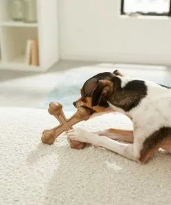 Frisco Peanut Butter Flavor Tough Nylon Dog Chew Toy -The Frisco Store 213435 PT2. SY630 V1581715702