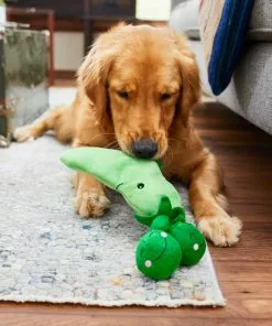 Frisco Plush Squeaking 2-in-1 Tearable Peapod & Peas Dog Toy -The Frisco Store 213791 PT8. SY630 V1600488484