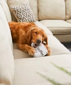 Frisco Ballistic Nylon Plush Squeaking Coffee Mug Dog Toy -The Frisco Store 213795 PT8. SY630 V1600488416