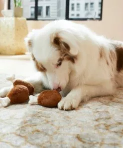 Frisco Hide & Seek Plush Chicken & Waffle Puzzle Dog Toy Refills, 3-Pack -The Frisco Store 213800 PT8. SY630 V1600488419