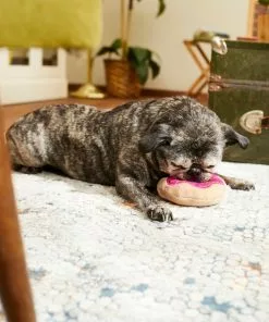 Frisco Strawberry Frosted Donut Dense Foam Squeaky Dog Toy 7 Frisco Strawberry Frosted Donut Dense Foam Squeaky Dog Toy -The Frisco Store 213804 PT8. SY630 V1600488492