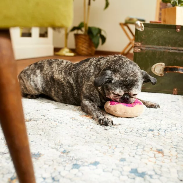 Frisco Strawberry Frosted Donut Dense Foam Squeaky Dog Toy 5 Frisco Strawberry Frosted Donut Dense Foam Squeaky Dog Toy - Image 3