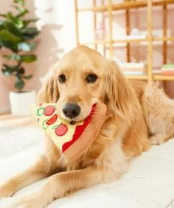 Frisco Plush Pizza Slice Dog Toy -The Frisco Store 213818 PT8. SY630 V1600488424
