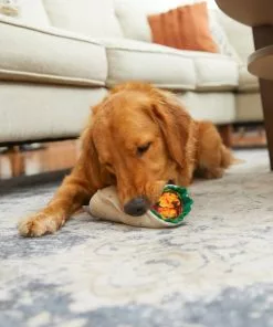 Frisco Plush Burrito Dog Toy -The Frisco Store 213834 PT8. SY630 V1600488426