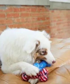 Frisco Americana TPR Bone Squeaky Dog Toy, 2 count 7 Frisco Americana TPR Bone Squeaky Dog Toy, 2 count -The Frisco Store 214651 PT6. SY630 V1597596450