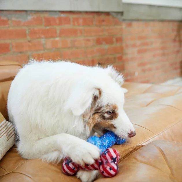 Frisco Americana TPR Bone Squeaky Dog Toy, 2 count 5 Frisco Americana TPR Bone Squeaky Dog Toy, 2 count - Image 3