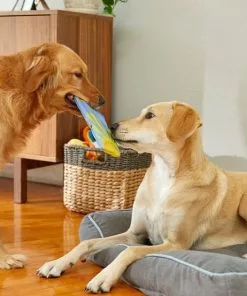 Frisco Summer Fun Ballistic Nylon Plush Surfboard Dog Toy 7 Frisco Summer Fun Ballistic Nylon Plush Surfboard Dog Toy -The Frisco Store 214665 PT6. SY630 V1597596443